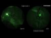 Photonis Night Vision Image Intensifier Tube Auto-Gating